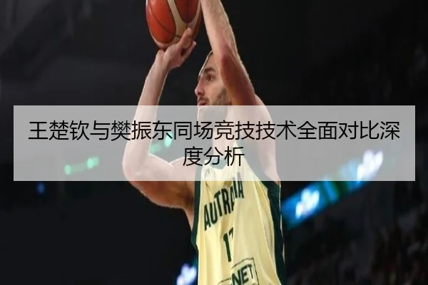 王楚钦与樊振东同场竞技技术全面对比深度分析 - FEIFAN SPORTS